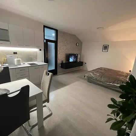 Fenix Iii Apartment Zajecar